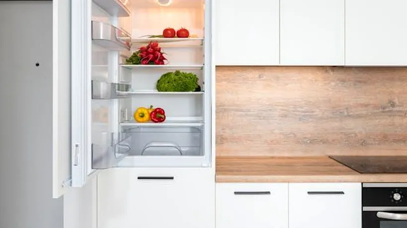(P) Care sunt diferențele dintre un frigider și o combină frigorifică - Top 5 caracteristici distincte