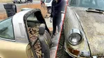 Descoperire rarisimă. Un Porsche 911 Targa din 1970, îngropat 31 de ani sub ace și conuri de pin, a fost găsit de un bărbat. Mașina va fi restaurată