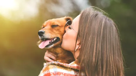 Cum testezi INTELIGENȚA câinelui tău? Iată cele 5 probe prin care trebuie să treacă prietenul blănos pentru a-i afla IQ-ul