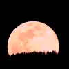 <span style='background-color: #8224e3; color: #fff; ' class='highlight text-uppercase'>HOROSCOP</span> Fenomen astrologic RAR. Ce este și cum ne afectează Luna Plină Roz