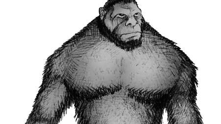 Pe urmele misteriosului BIGFOOT. Proiectul care ar putea demonstra că animalul trăiește în pădurile din California 