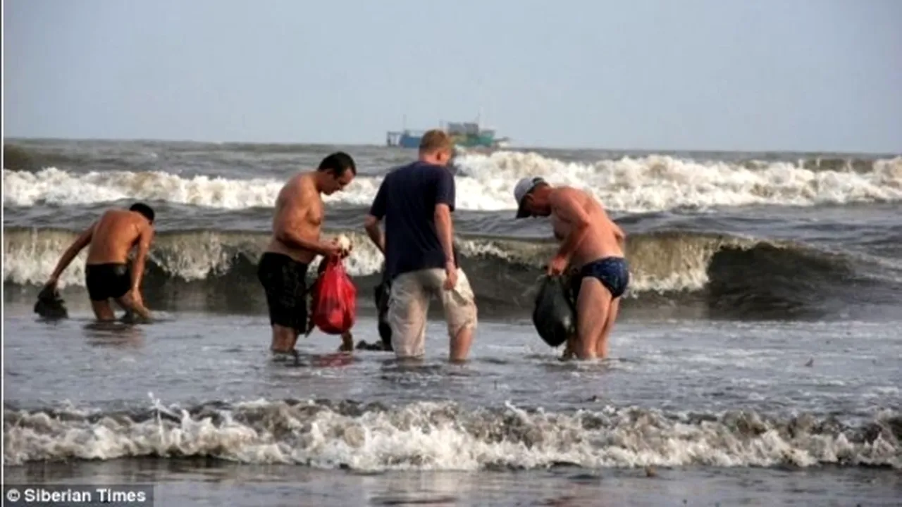 MIRACOLUL DE LA VLADIVOSTOK. Cum arată, în realitate, 