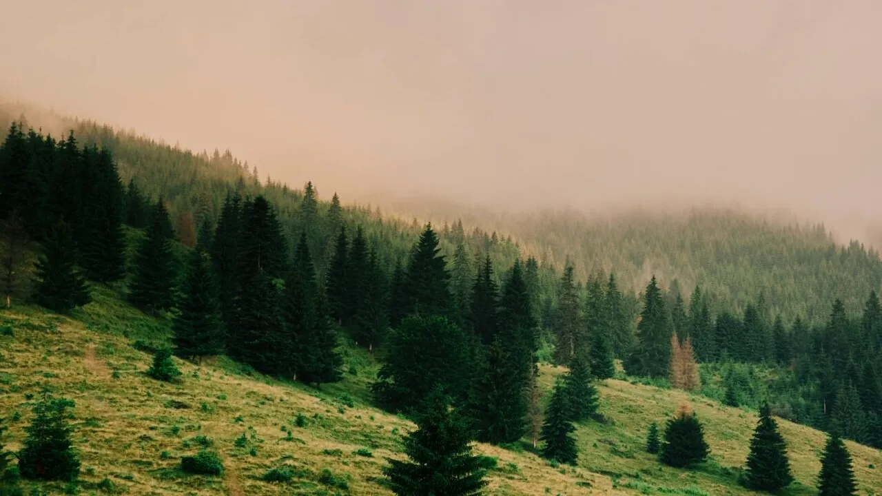 Apele minerale de la Bilbor fac minuni pentru cei care au probleme cu stomacul, ficatul sau fierea