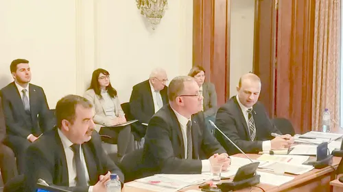 VIDEO. Ministrul desemnat al Agriculturii la audierile din Parlament: „Frauda de care pomeneați, cu MAFIA SICILIANĂ, nu a fost pe Programul Tomata”