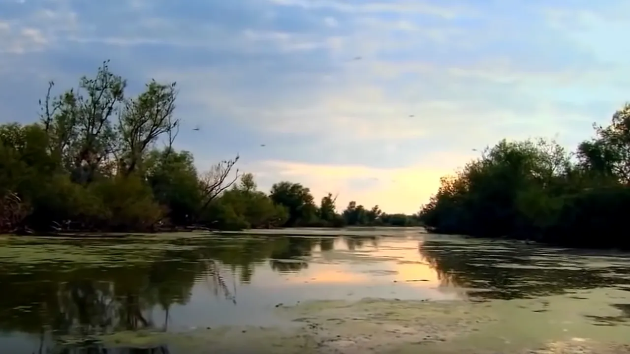 Cel mai rar ANIMAL pe care îl poți vedea în România se află în Delta Dunării. Mai sunt doar câteva perechi în toată lumea