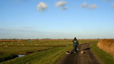 VREMEA. Prognoza meteo pentru vineri și sâmbătă