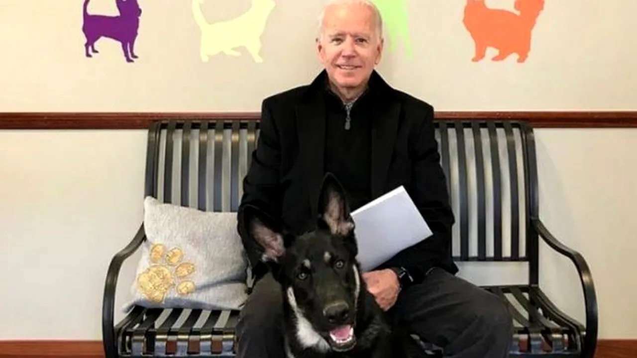 Joe Biden s-a accidentat în timp ce se juca cu „Major”. Ce i-a transmis Donald Trump