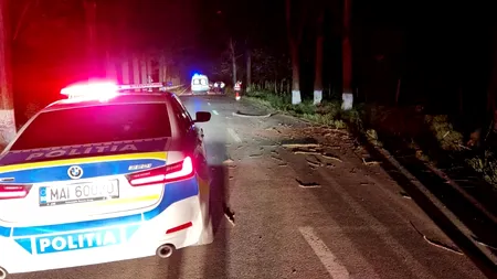 FOTO. Sfârșit cumplit pentru un tânăr de 21 de ani din Tulcea. A pierdut controlul volanului și a intrat cu mașina într-un copac