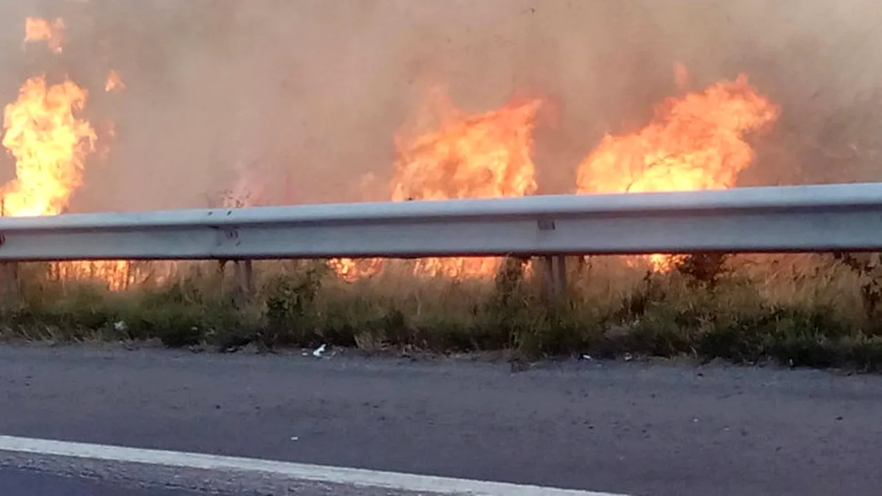 Autostrada București-Pitești, blocată pe ambele sensuri. Incendiu de vegetație pe o suprafață de 4.000 metri pătrați / Operațiune de amploare