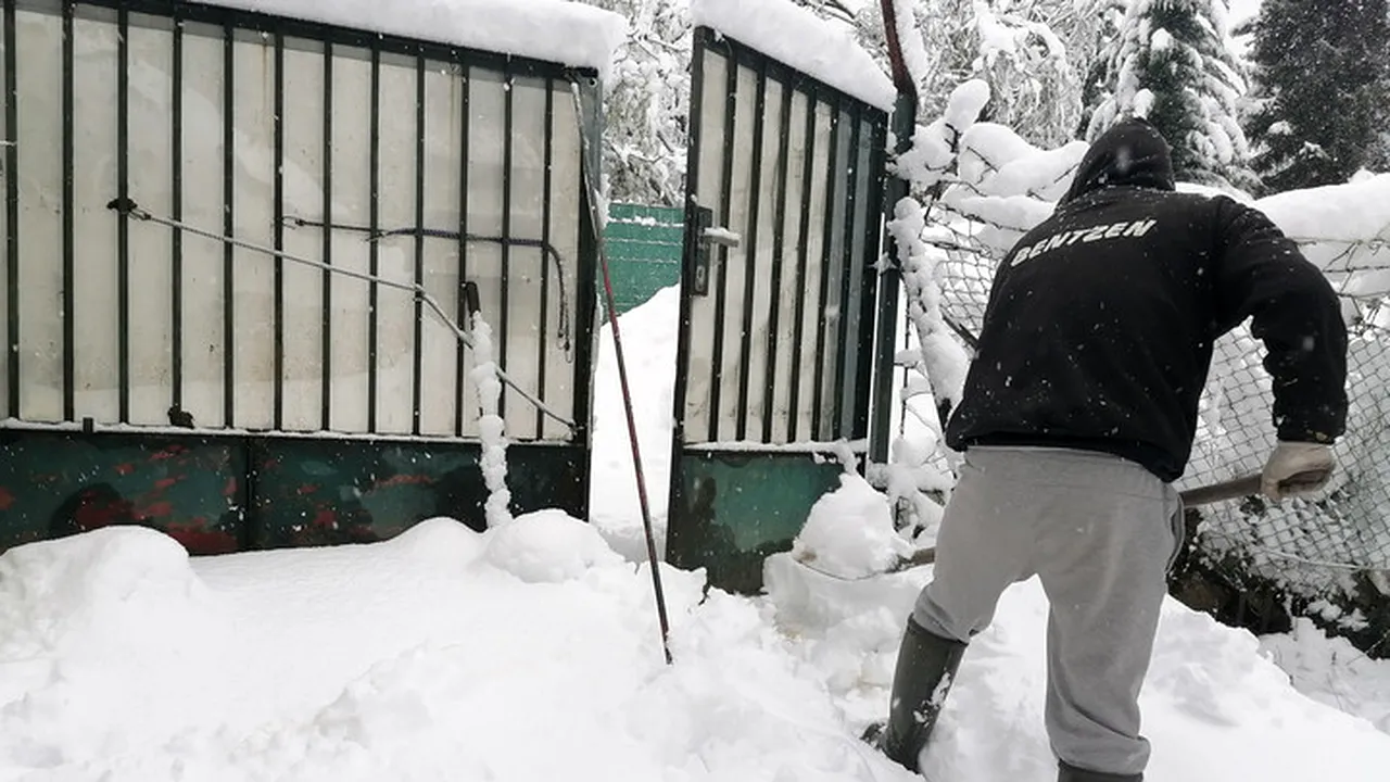 Sala de fitness din fața casei: cercetătorii de la Harvard dezvăluie câte calorii arzi la lopată