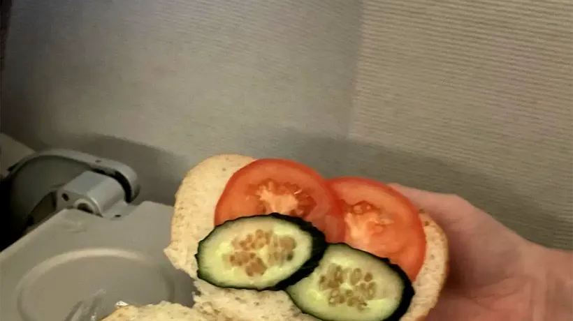 Ce a primit un pasager, în avion, după ce a comandat un sandviș VEGETARIAN: Până și castravetele pare supărat