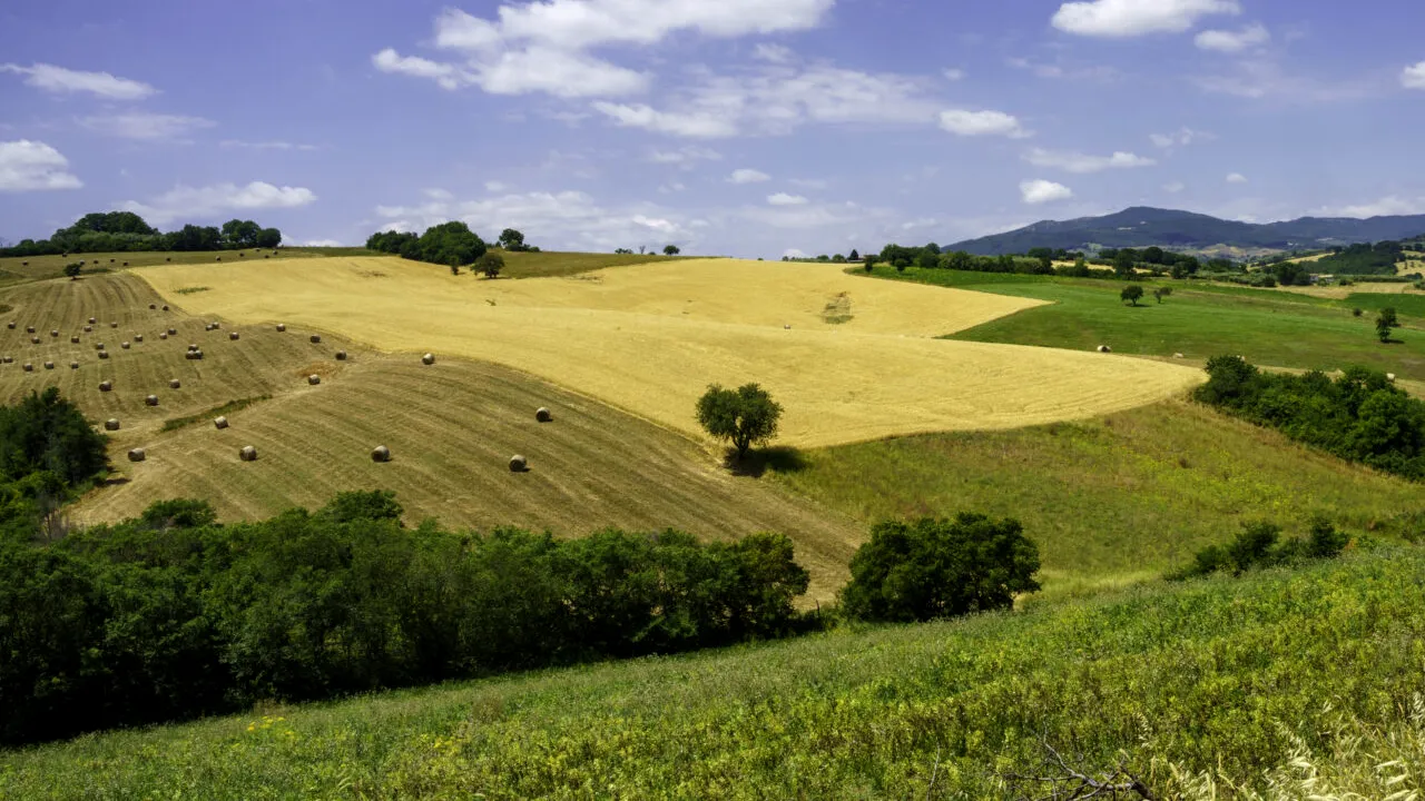 Român dat dispărut în Italia a fost găsit după 12 zile. A supravieţuit doar cu apă şi mere