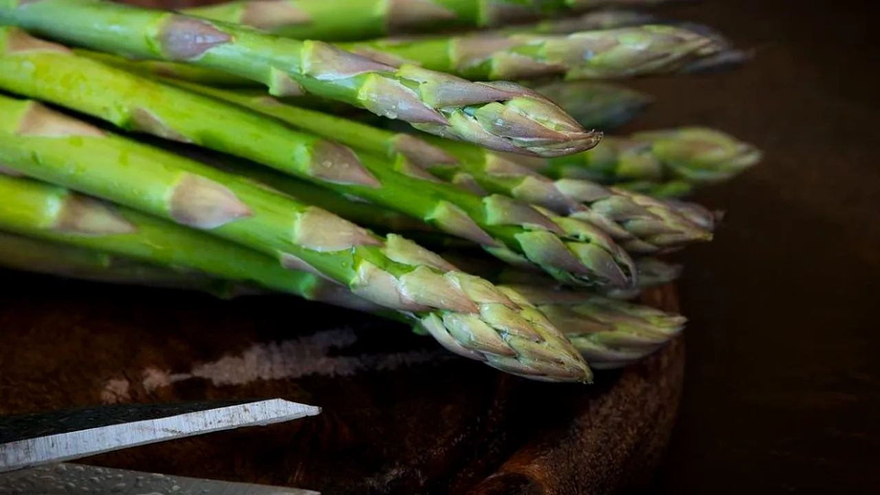 DIASPORA. Cu câţi bani s-a întors un român, după trei luni de cules sparanghel în Germania