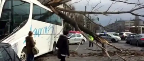 Vântul puternic face ravagii în Capitală. Un copac s-a prăbușit peste un autocar aflat în mers