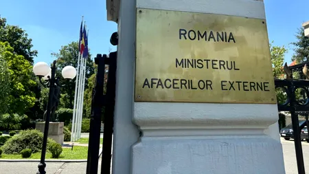 MAE evaluează activitatea Agenţiei Române pentru INVESTIȚII şi Comerţ Exterior. Oana Țoiu: „Au fost și vești bune, dar mai degrabă anecdotic”