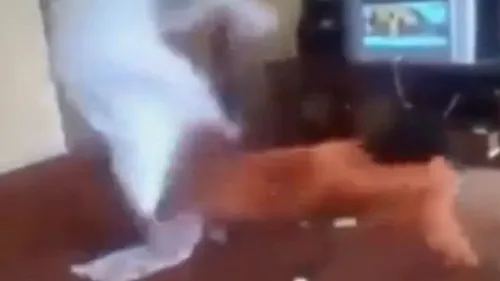 VIDEO. Cum este pedepsit un angajat pentru că a îndrăznit să vorbească cu soția patronului său arab 
