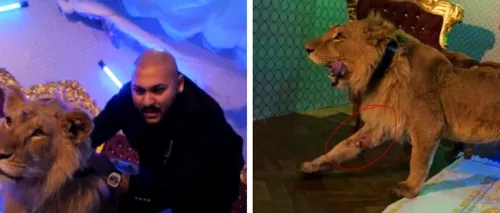 Manelistul Dani Mocanu, acuzat că a filmat un videoclip cu un leu rănit şi chinuit: „Nu mi-e frică de nimic pe pământul ăsta” (VIDEO)