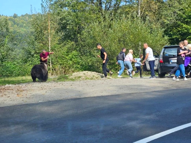 Mai mulți turiști, inclusiv copii, au fost la un pas să fie sfâșiați de un urs