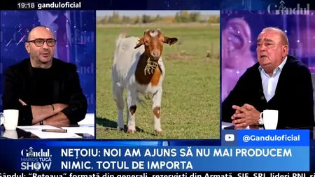 România, grânarul Europei, poate hrăni 100 de milioane de oameni. Ce spune Gigi Nețoiu, investitor în agricultură