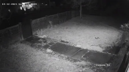 VIDEO| Momentul în care primăria din Argeș ia foc. Primarul a recunoscut că el a incendiat clădirea