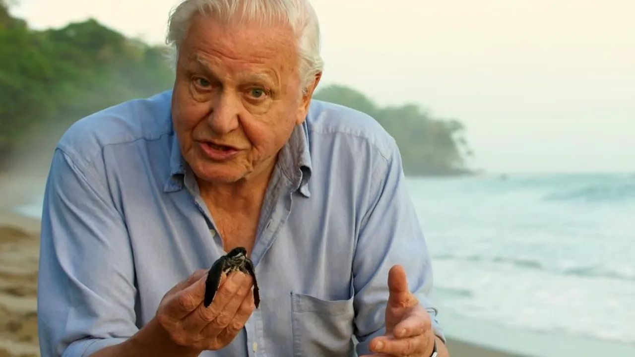 Naturalistul britanic David Attenborough, făcut „Sir” de Regina Elisabeta a II-a, împlinește 100 de ani. De ce este supranumit „vocea naturii”