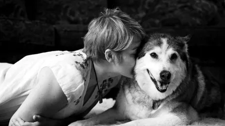 Imaginile de adio. Ultimele momente din viața unui câine. GALERIE FOTO