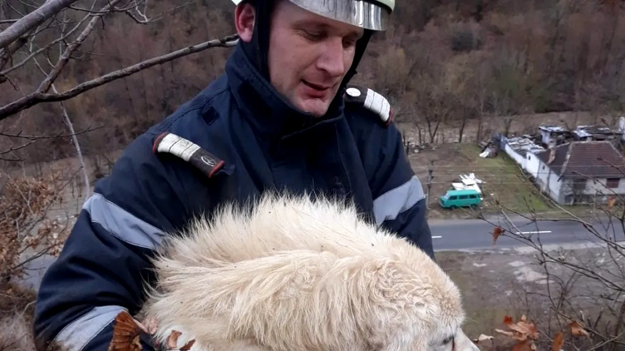 IMAGINI EMOȚIONANTE. Cum a reacționat un cățel după ce pompierii s-au luptat mai bine de două ore să îl salveze