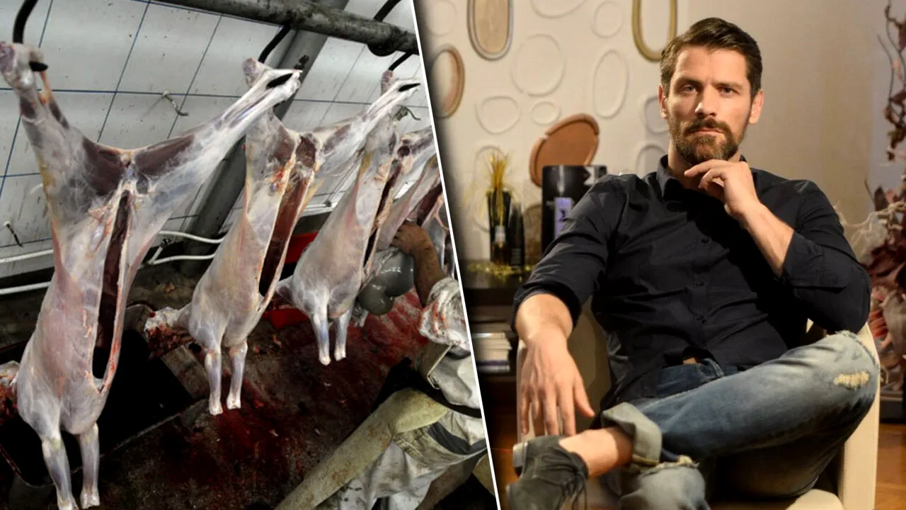 Actorul român violator în serie, trimis să lucreze cu animale proaspăt tăiate. Cum a ajuns Alexander Zudor aproape liber
