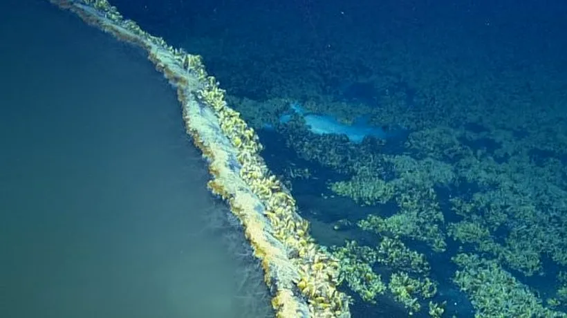 Descoperire infricoșătoare în Golful Mexic: ''Lacul subacvatic'' care ucide orice creatură din zonă