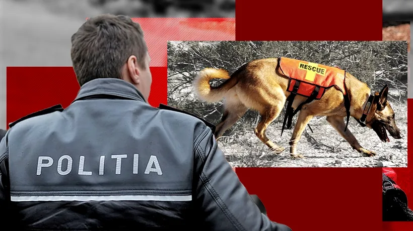 EXCLUSIV | Cum a rămas Poliția Capitalei fără câinii salvatori în caz de dezastre naturale. „S-a considerat că nu este treaba polițiștilor să salveze vieți”