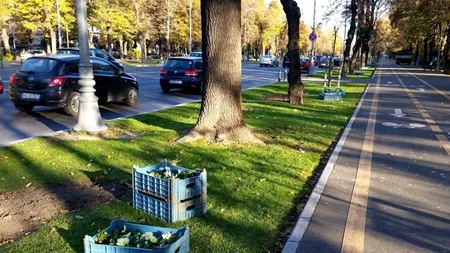 DNA, anchetă într-o afacere cu 