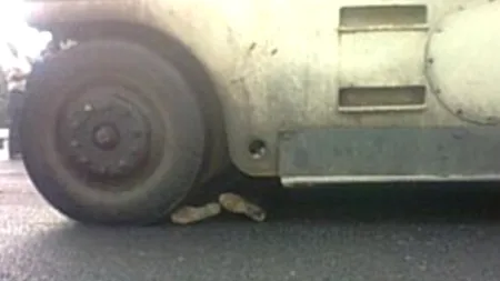 IMAGINI ȘOCANTE. Un chinez este zdrobit de roțile unui camion, după ce a protestat împotriva strămutării 
