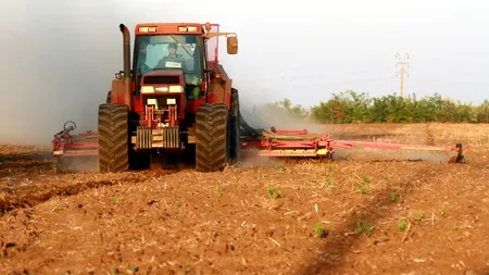 Venituri supradimensionate, majorări salariale nelegale și lipsa procedurilor necesare pentru securitatea datelor la Ministerul Agriculturii