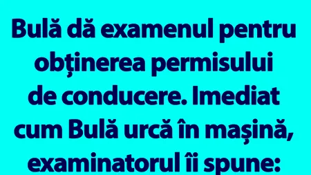 BANC | Bulă dă examenul pentru obținerea permisului de conducere