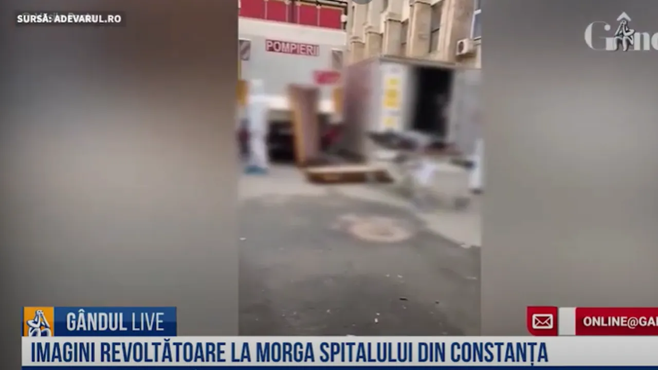 GÂNDUL LIVE. Femeia atacată de patru Rottweileri, în stare gravă/ Curtea Spitalului Județean Constanța a fost transformată în morgă