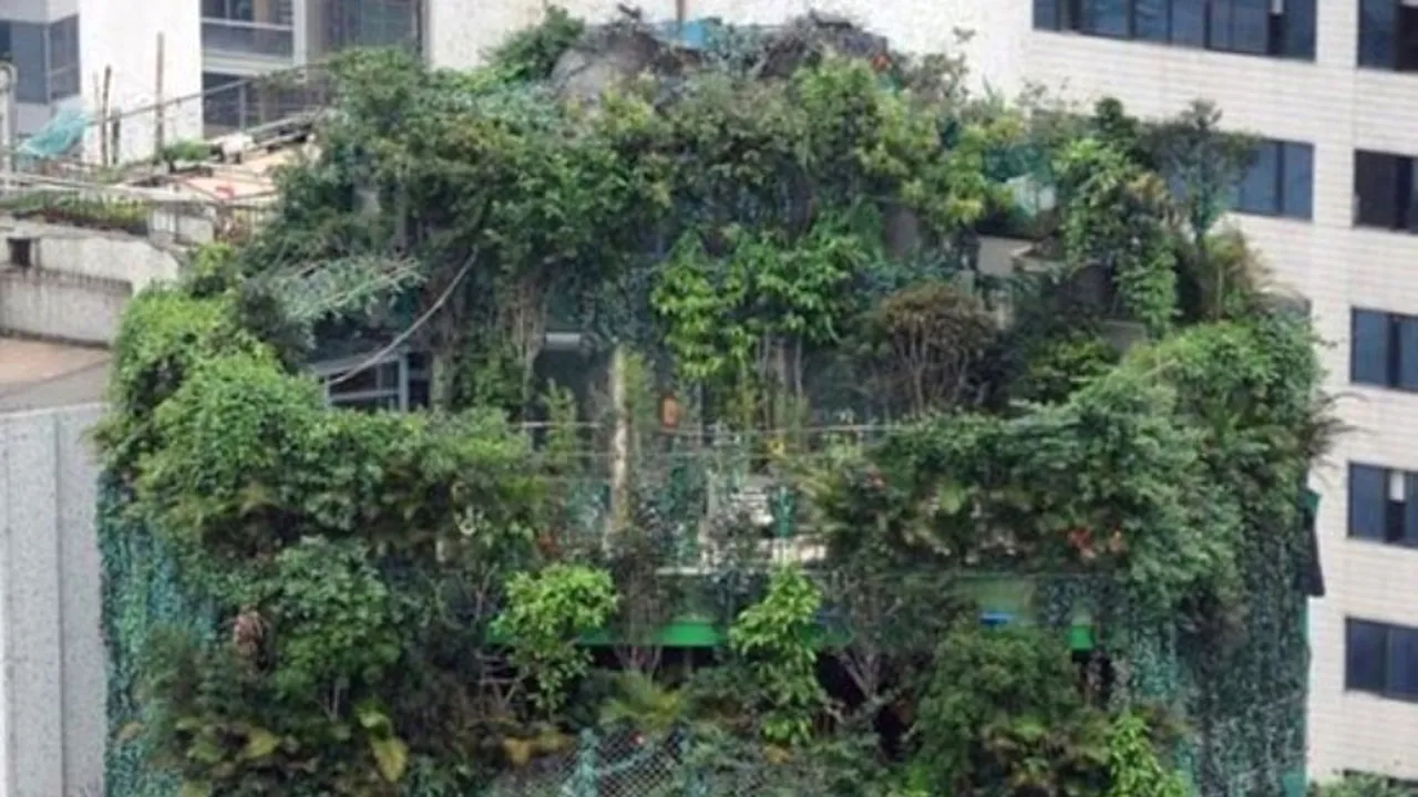 FOTO. Ce a construit un om de afaceri chinez pe un bloc 