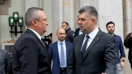 Senatorul Bogdan Matei, declarație controversată despre coaliția de guvernare: „PSD nu este căsătorit cu PNL”