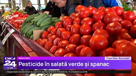 S-au găsit PESTICIDE în salată verde și spanac. Inspectorii fitosanitari verifică acum și roșiile românești