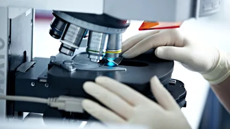 Caz îngrijorător în Belgia: O femeie a murit după ce a fost infectată cu două tulpini ale coronavirusului în același timp