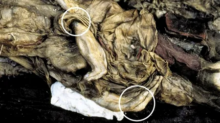 GALERIE FOTO. Tatuaje vechi de 2.500 de ani, descoperite pe mumia unei prințese din Siberia