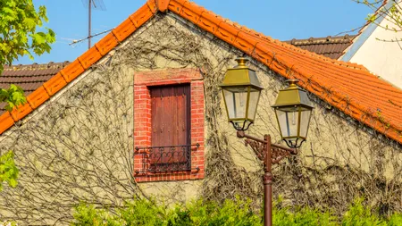 Povestea lui Edith Macefield, femeia care a refuzat să-și vândă mica și vechea casă chiar și pentru un milion de dolari