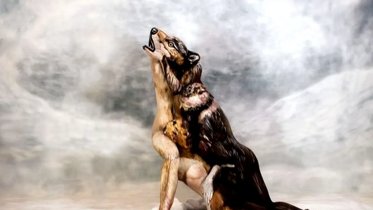 Câte femei goale sunt în această imagine?