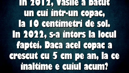 IQ TEST | În 2012, Vasile a bătut un cui într-un copac, la 10 cm de sol. În 2022, s-a întors la locul faptei. Dacă acel copac a crescut cu 5 cm pe an, la ce înâlțime e cuiul acum?