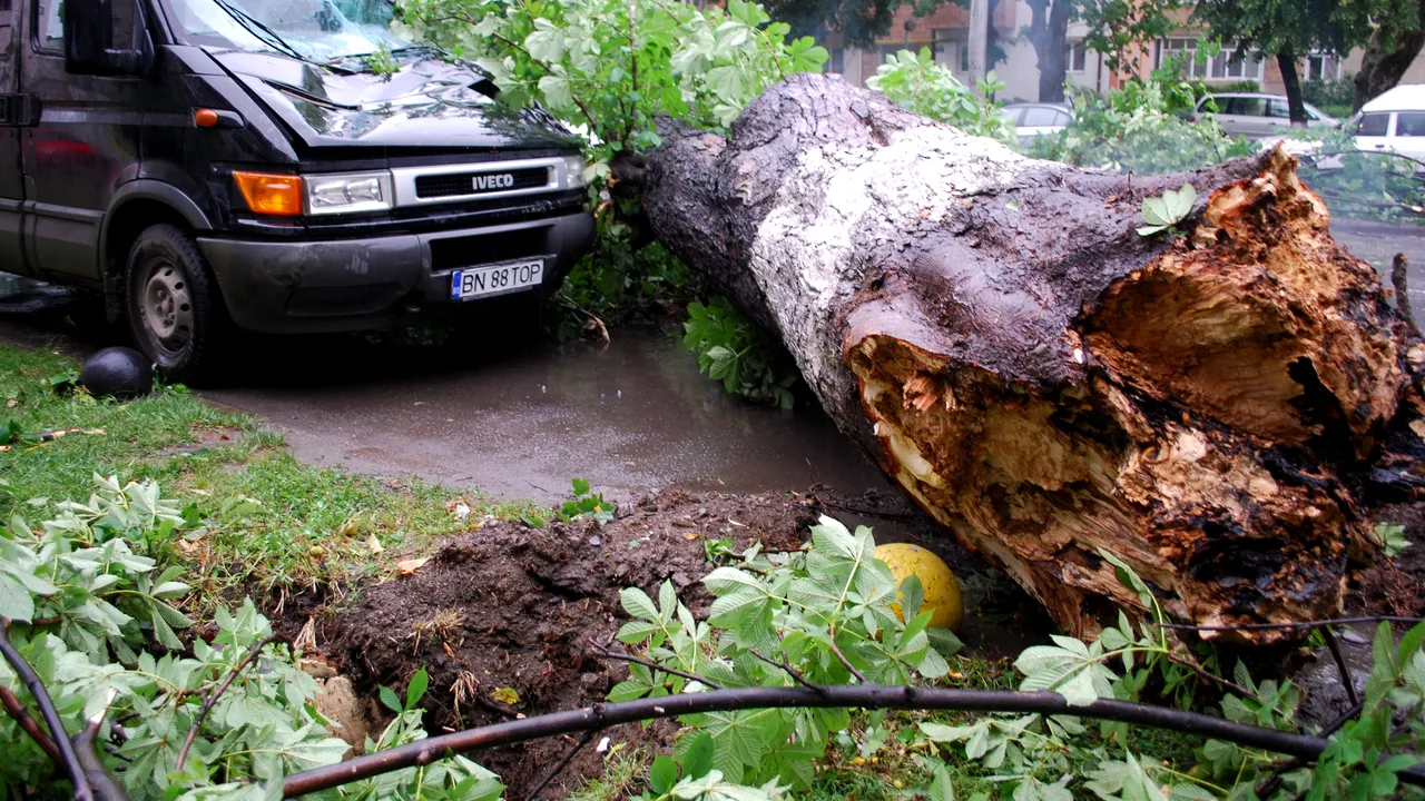 Furtuna a făcut ravagii în București: doi răniți, 146 copaci căzuți și 85 de mașini avariate