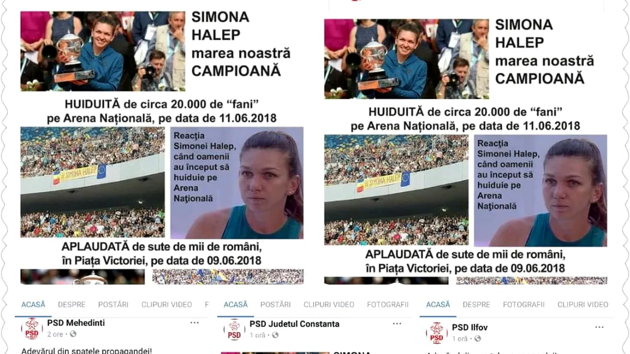 Organizații PSD, despre Simona Halep: Huiduită pe Arena Națională, aplaudată la mitingul PSD