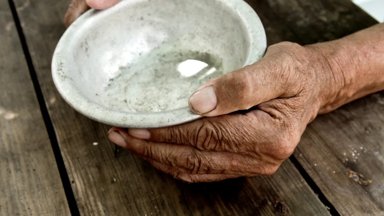 Criza alimentară determină țările lumii să limiteze exporturile de produse agricole. Efectele ar putea fi devastatoare