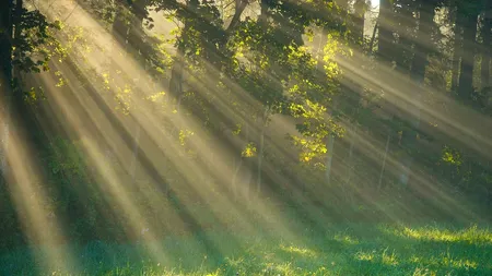 Prognoza METEO pentru acest weekend. Cum va fi vremea la referendum
