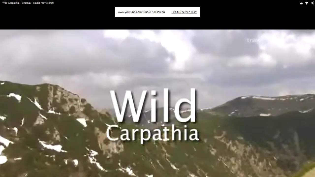 Probleme pentru realizatorul emisiunii 