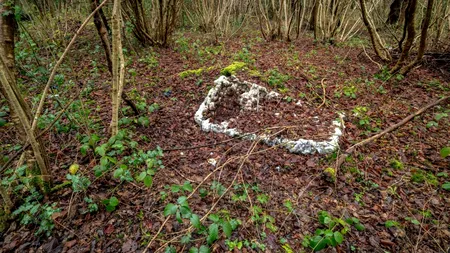 Descoperire macabră lângă Bârlad. Fragmente osoase și un craniu uman au fost găsite într-o pădure