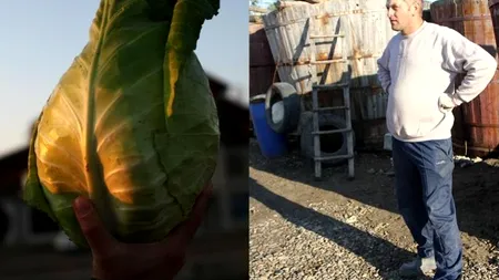 Cum au ajuns locuitorii unui orășel din Suceava să transforme varza murată într-un brand național. GALERIE FOTO